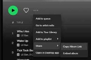 Spotify Downloader Windows 11