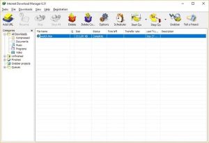 internet download manager